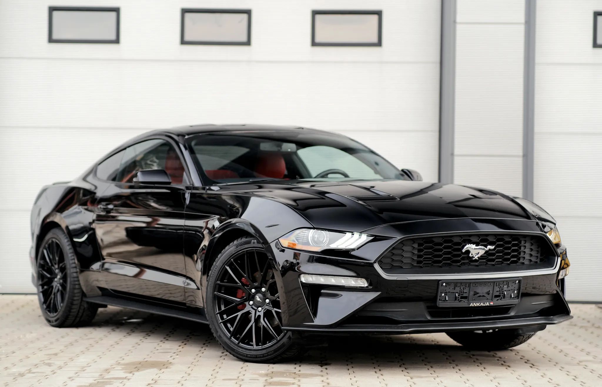 Ford Mustang 2.3 EcoBoost / Fastback / 310KM / Bogate Wyposażenie /
