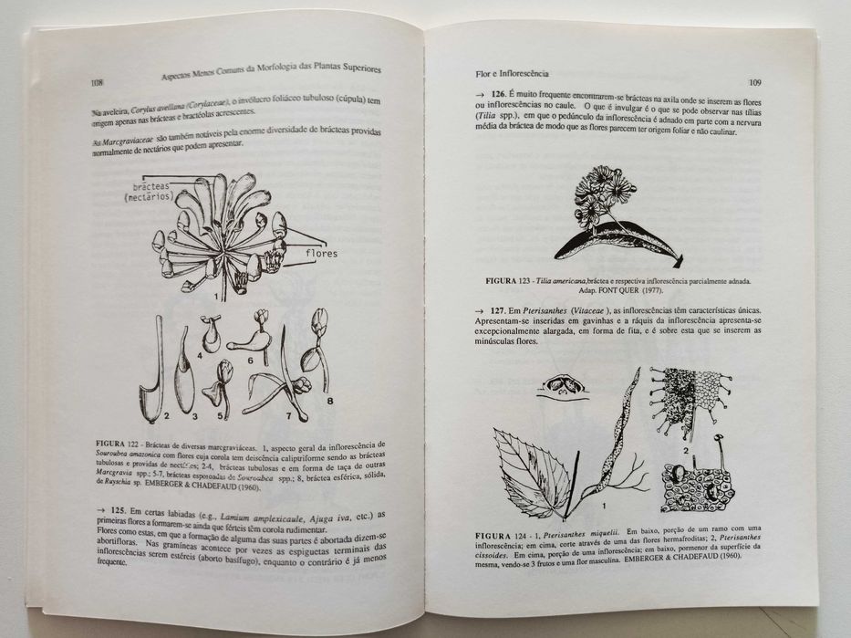 Aspectos poucos comuns da Morfologia das Plantas Superiores