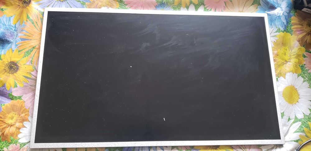 Матриця B173RW01