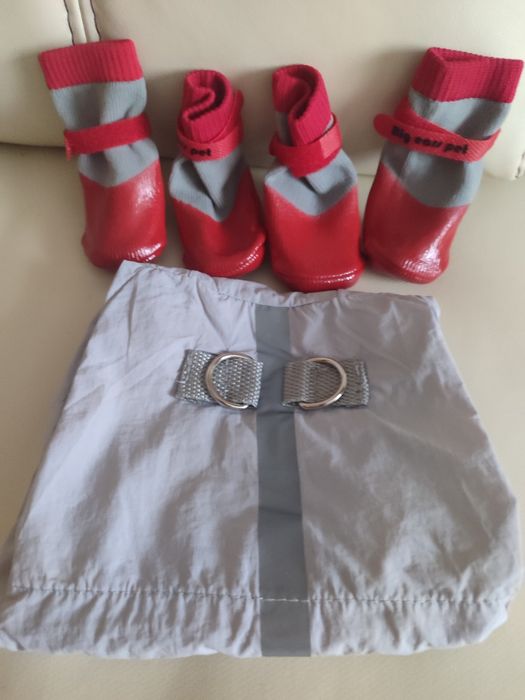 Одежда для собак