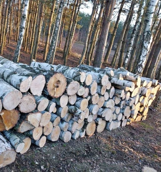 Drewno suche sosna ,brzoza