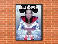 Plakat Bjork - Homogenic