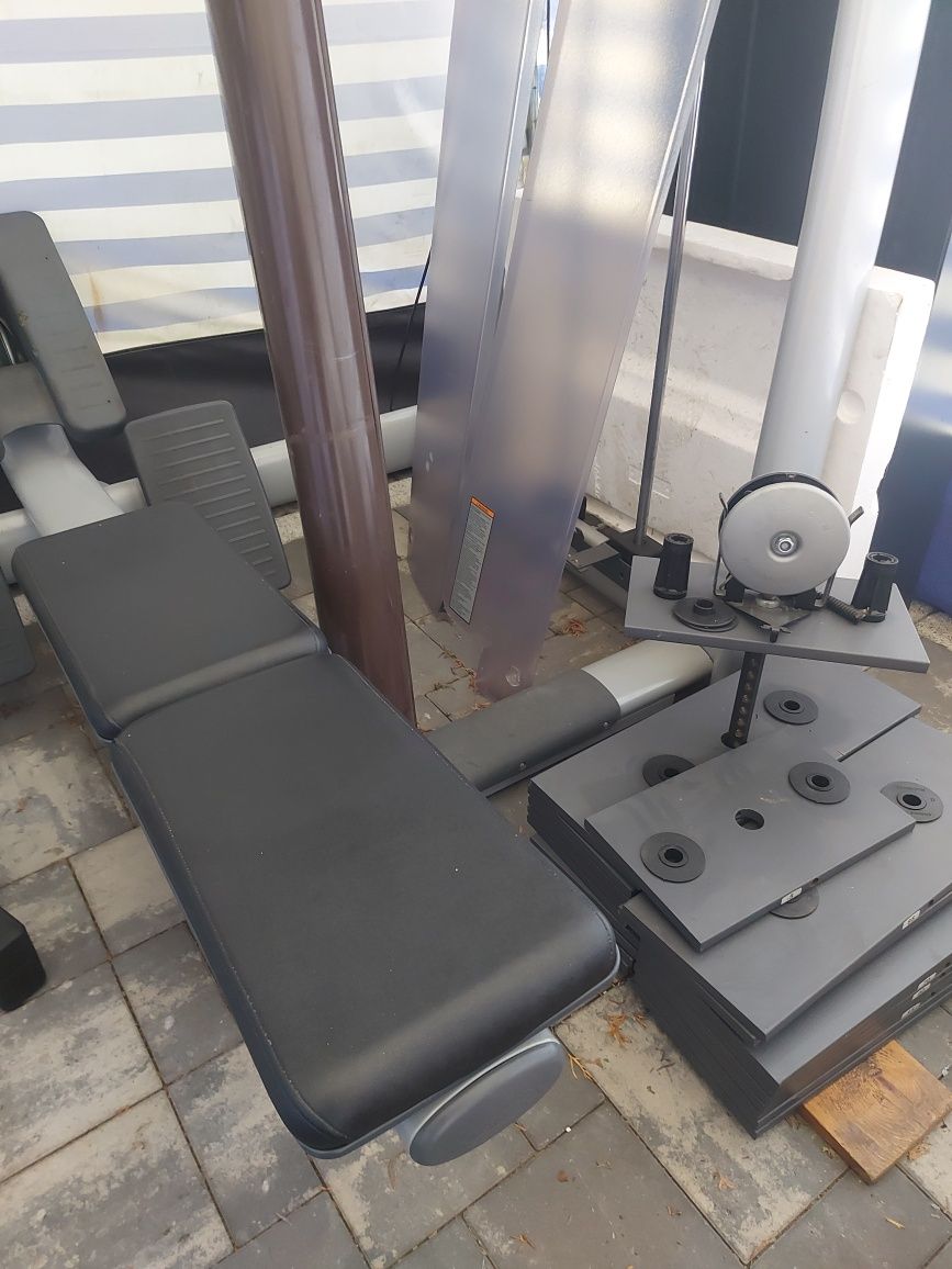Maszyna na Plecy Technogym Selection Life fitness Matrix Siłownia