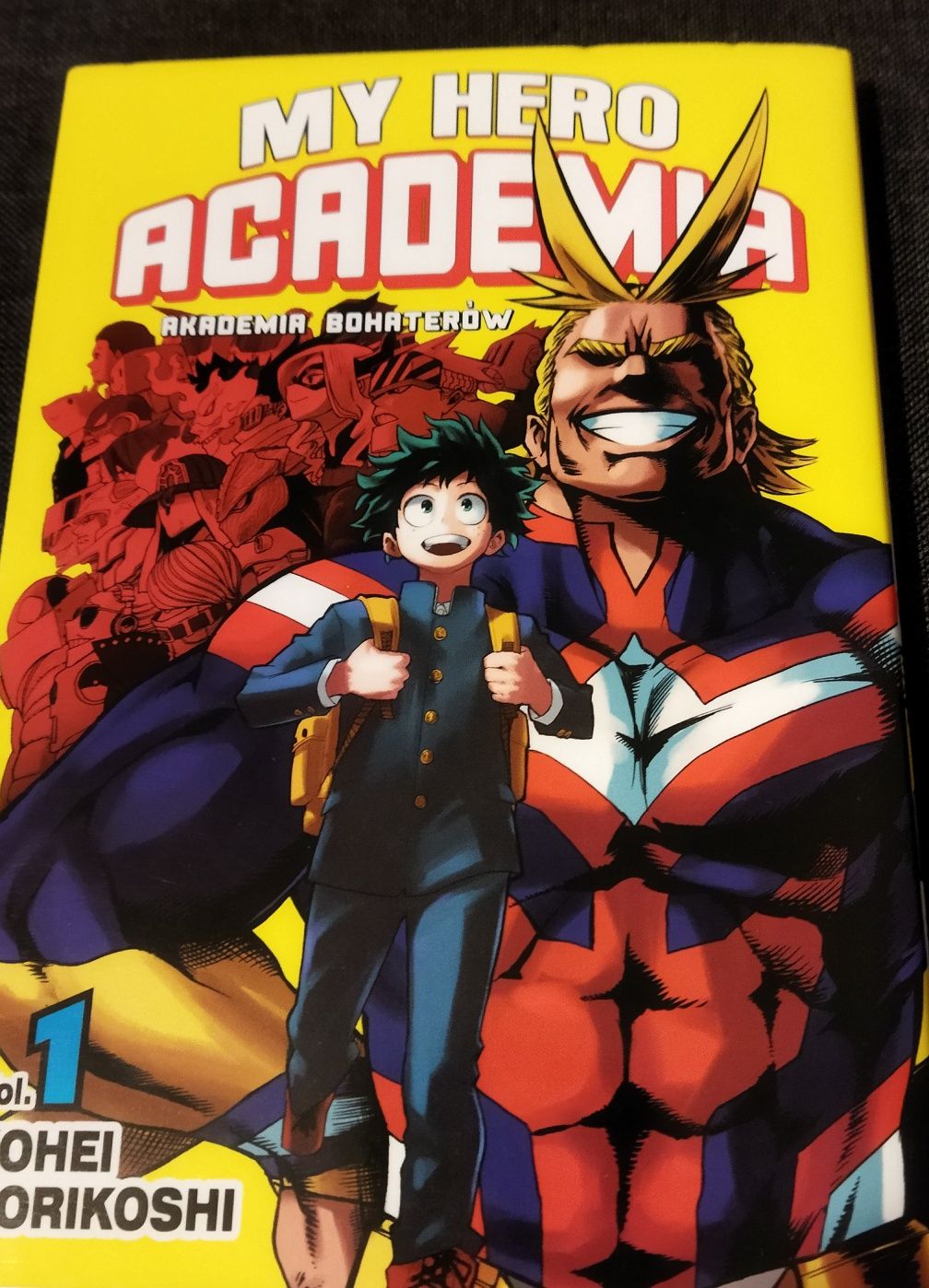 Akademia Bohaterów My Hero Academia