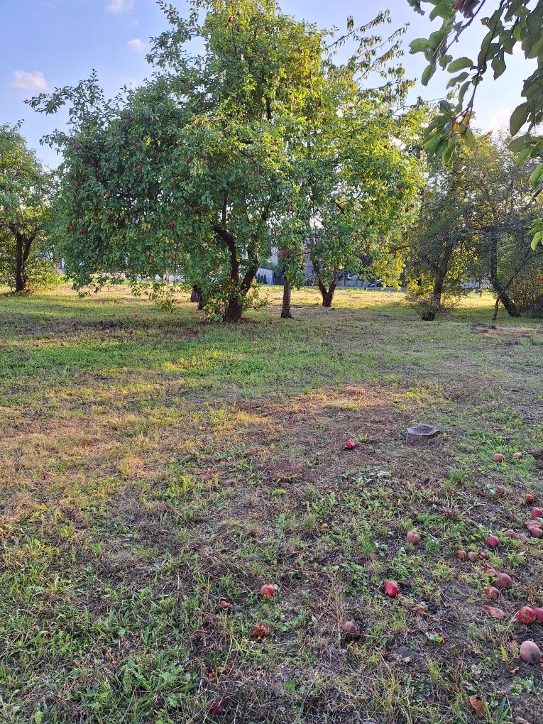 Sprzedam działki o powierzchni 842m2 przy ul. W. Witosa w Zlotowie