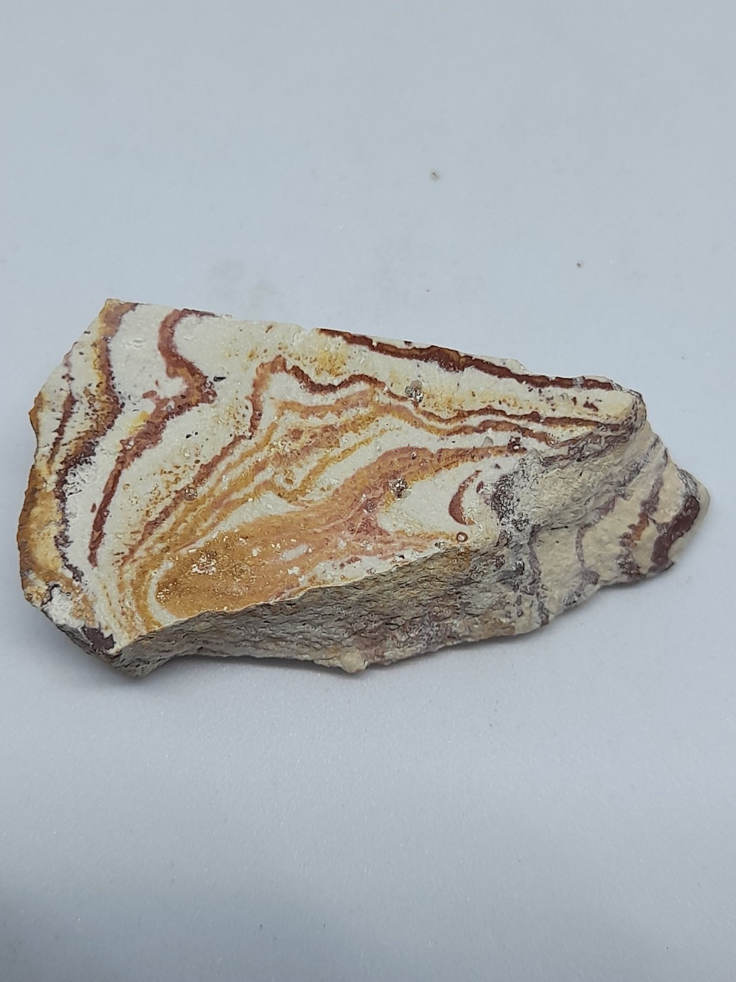 Rhyolite Wonderstone - Arizona USA.