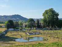 Encantadora quinta em Abrantes com 3,5 ha, perto do Rio Tejo, do ar...