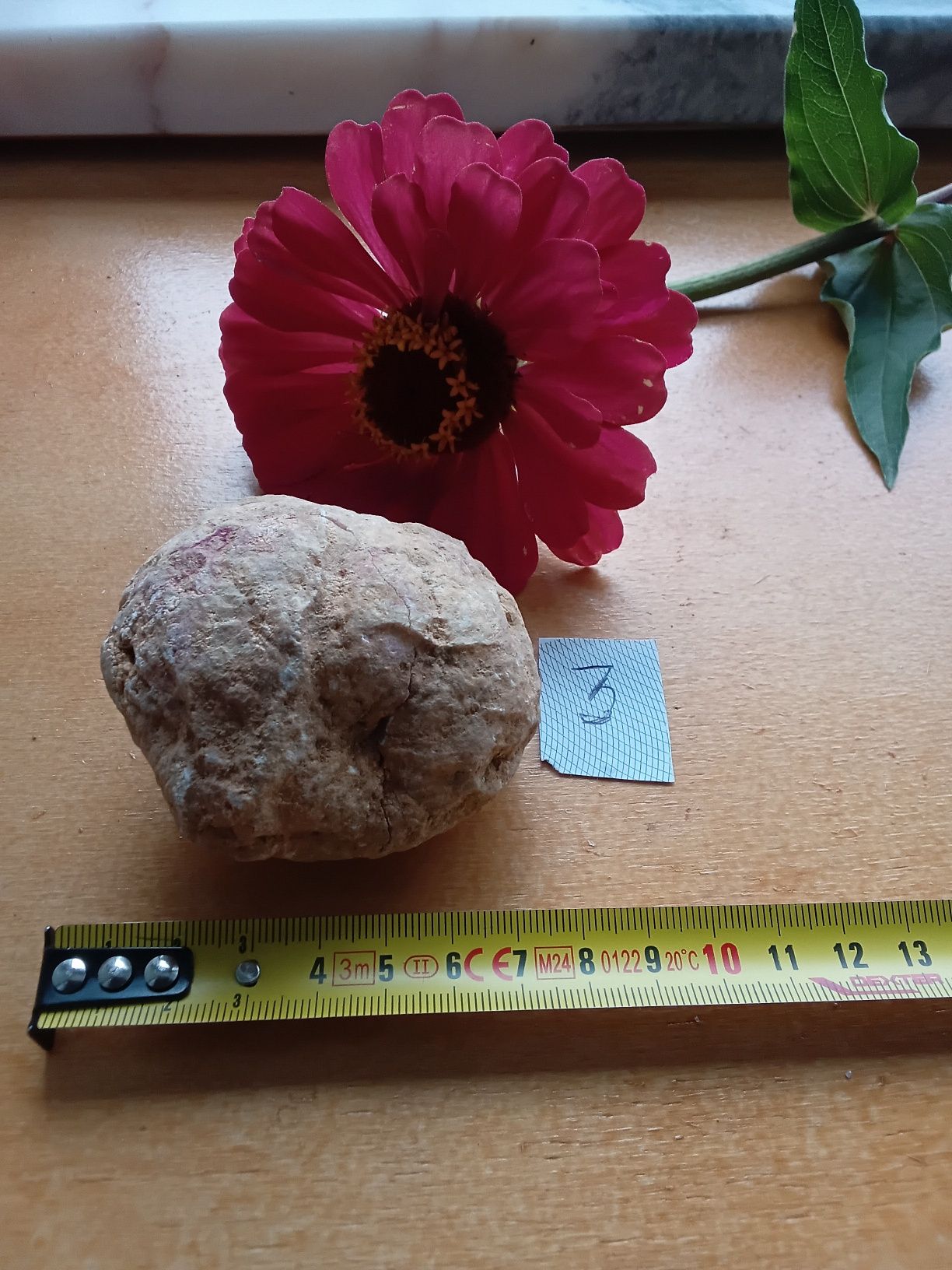 Geodo Marroquino  Trouxe das Montanhas do Atlas  Tesouros da Terra