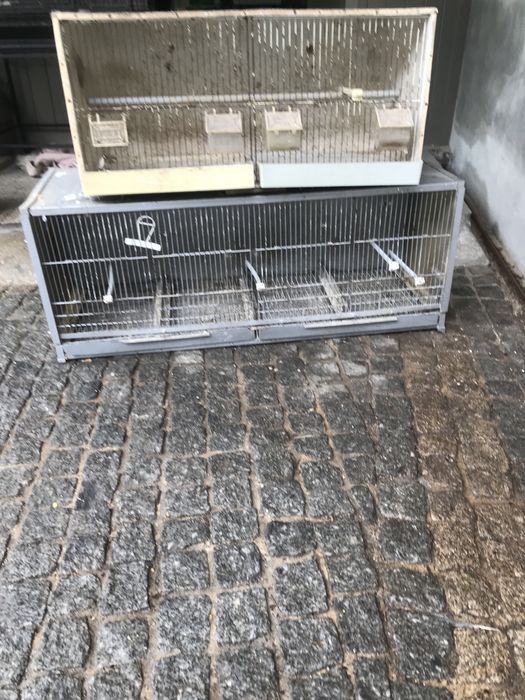 Cedo gaiolas em bom estado