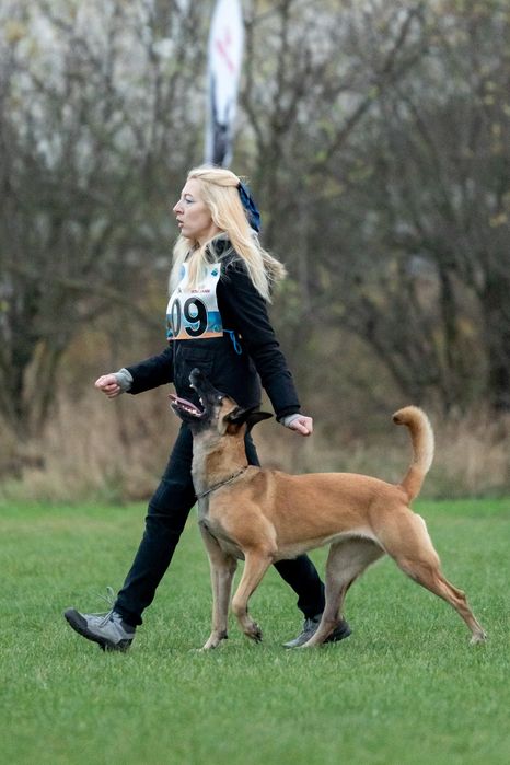 Дрессировка собак, кинолог