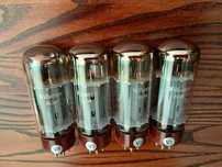 EL34 komplet4 lamp Willsenton