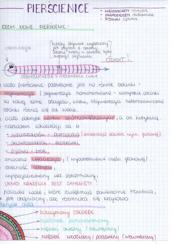 Notatki biologia matura