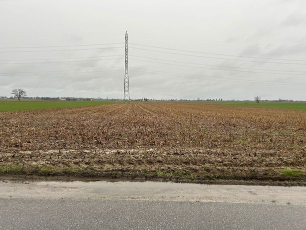 Ziemia rolna Działki rolne 19 HA Trzebcz Szlachecki Trzebcz królewski