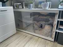 sprzedan terarium