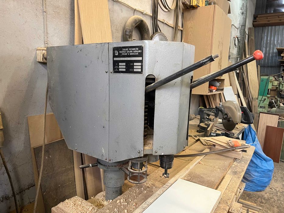 Sękarka Baboszewo DCWFA