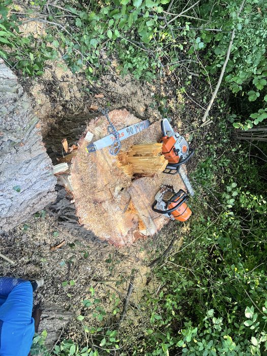 Зрізання аварійних дерев , чистка великих ділянок , різання дров