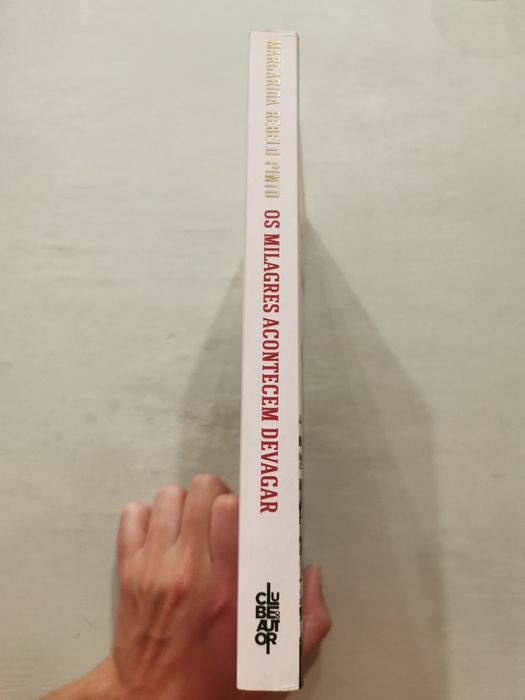 Livro Olá Milagres acontecem devagar