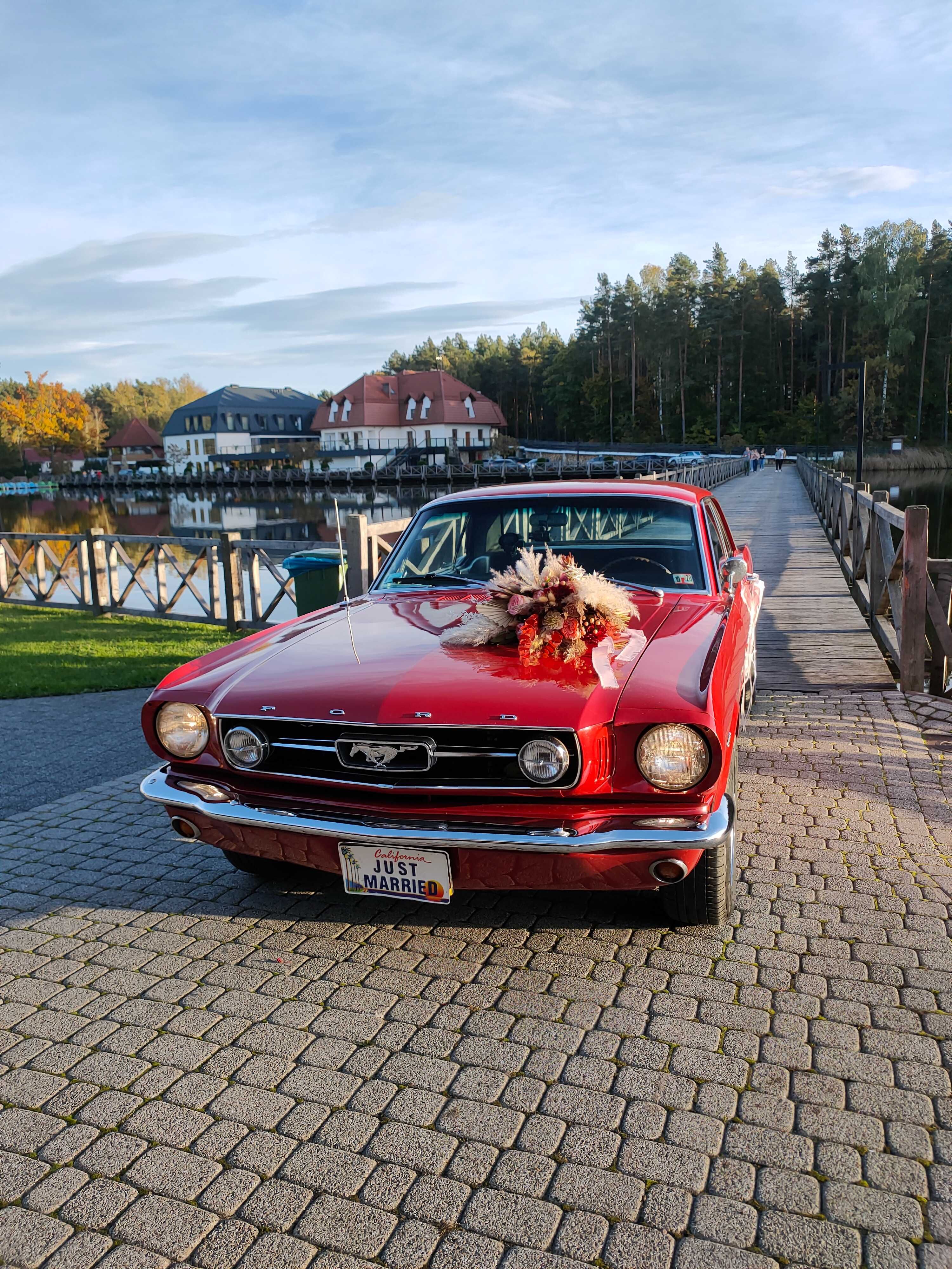 Auto do ślubu. Mustang samochód na wesele, eventy, zdjęcia i inne