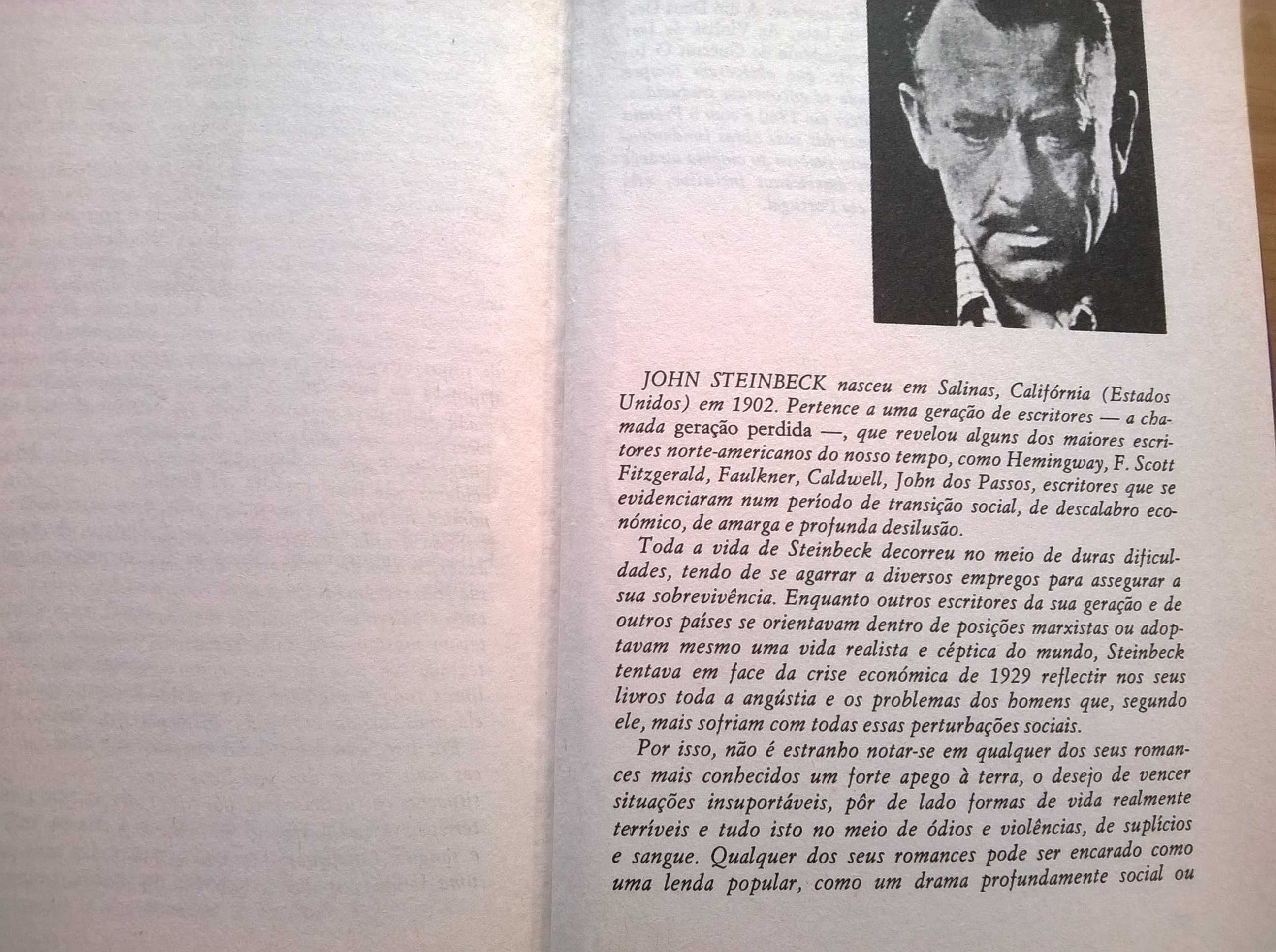 As Vinhas da Ira - John Steinbeck (portes grátis)