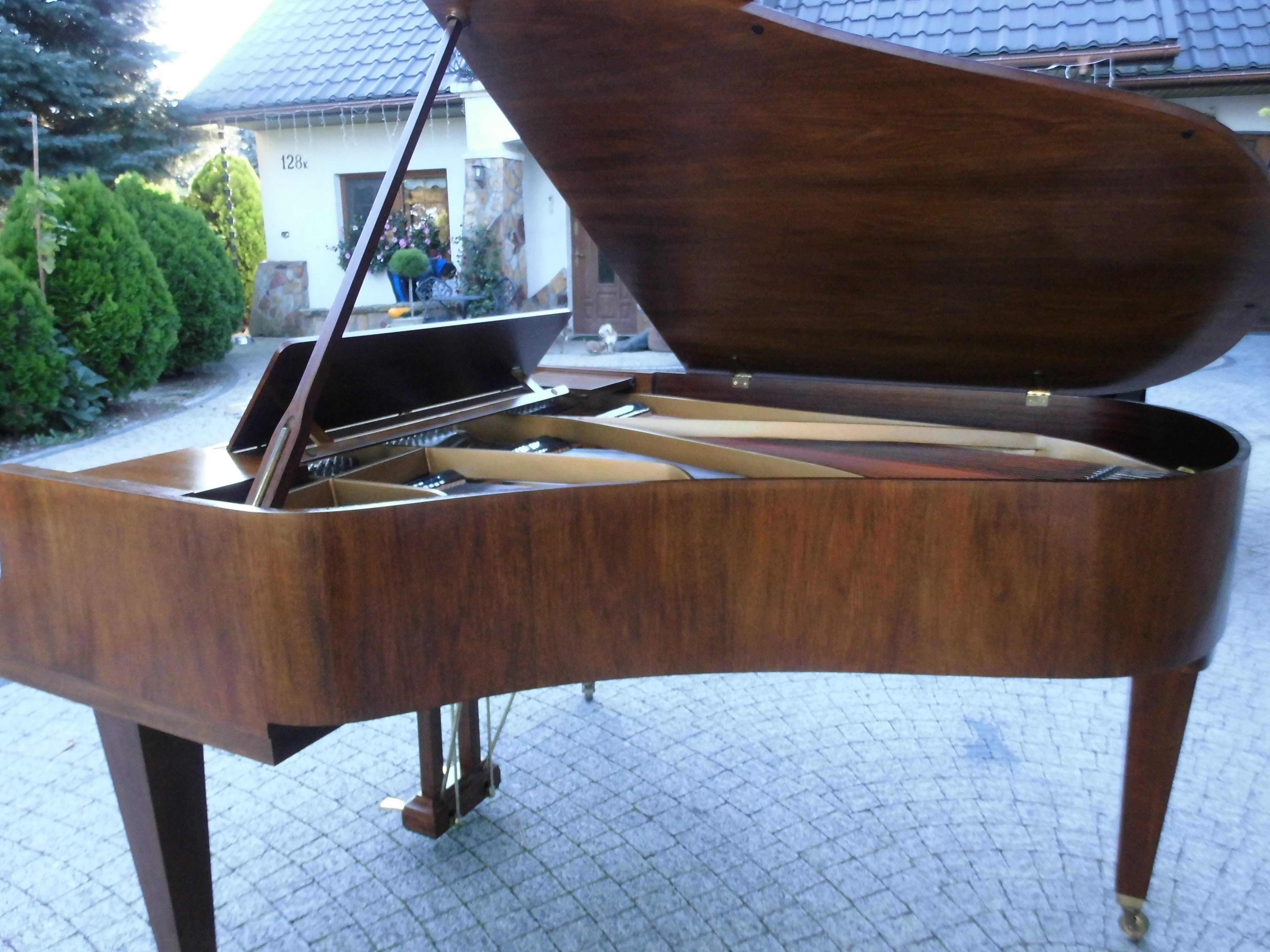 Grotrian Steinweg M185 renner Fortepian dla konesera Germany