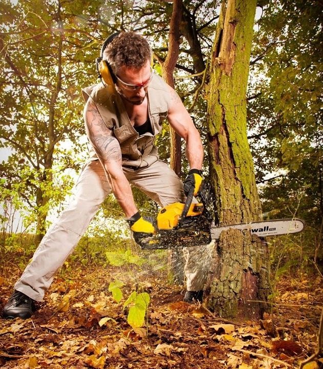 Mocna Piła Spalinowa Łańcuchowa Pilarka Olej Stihl Zestaw Prowadnica Ł