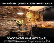 Cegły na Ścianę Dekoracyjne Elewacyjne Płytki Ceglane Lico Stare Cegły