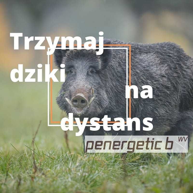 Odstraszacz na dziki na 1 ha Penergetic WILD