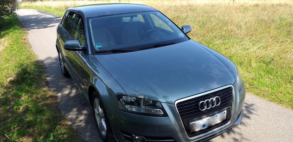 Audi A3 Sportback 1.6 dobry pod Lpg 10r. Mpi 5drzwi Klima bezwypadkowy Kś.Serwisowa Ledy