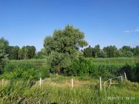 Продається ділянка під житлову забудову в селі Червона Слобода