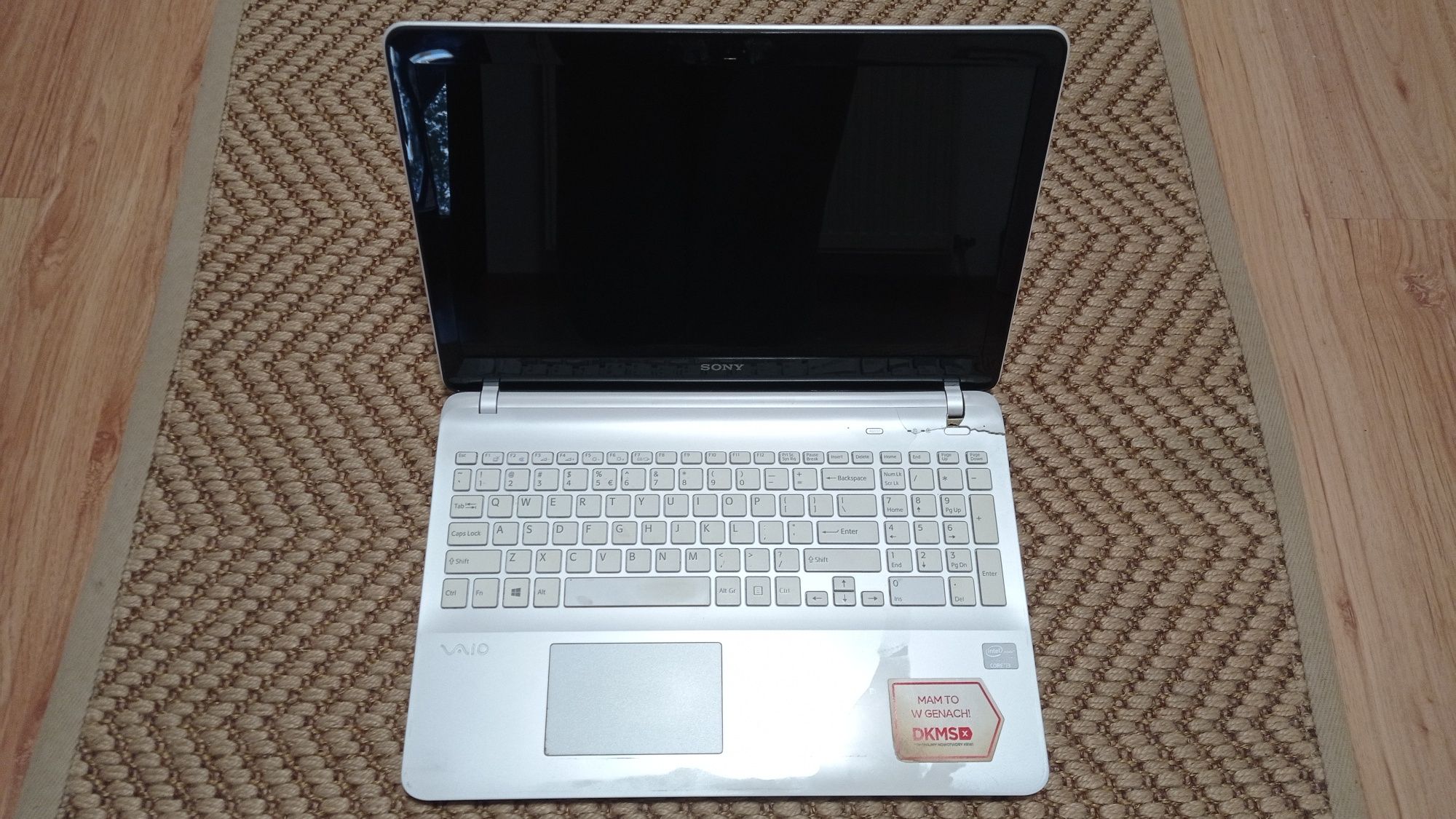 Laptop Sony Vaio SVF152A29M