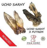 Ucho Sarny z sierścią