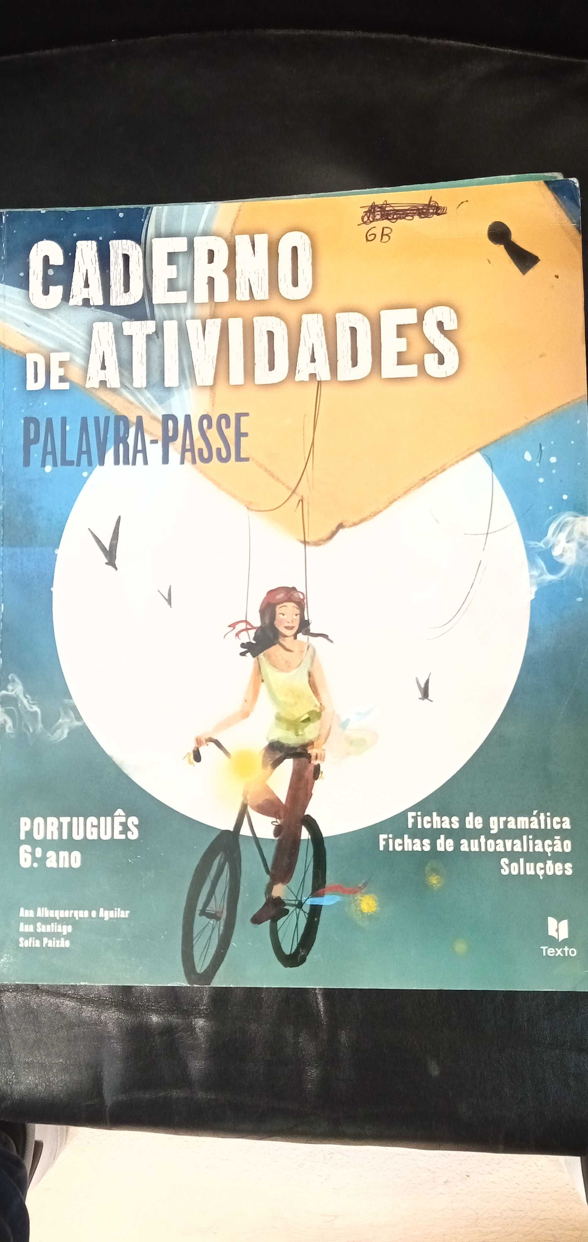Livros e cadernos de actividades/fichas 6° 7° 8° ano