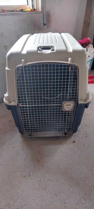 Caixa pra transportar animais grandes