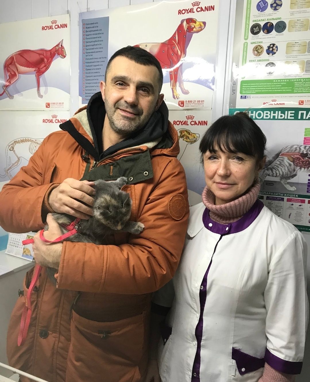 Ветеринар / Лікар ветеринарної медицини