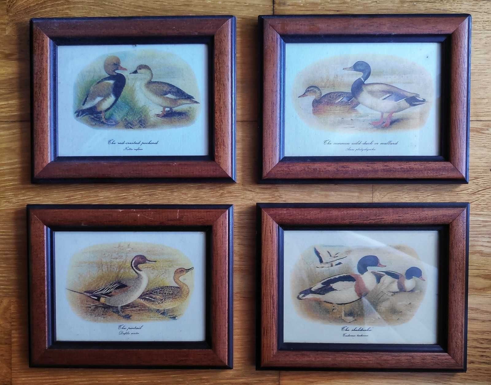 Decoração vintage - Quadros (Flores 12,5€, Casas 17,5€ e Patos 20€)