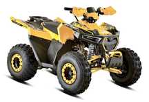 Barton  Barton 125 Terrax