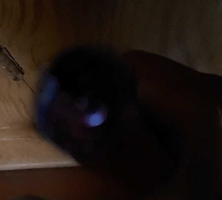 Продам пьезо зажигалка