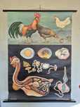 Plakat Jung koch quentel- starocie, loft, vintage, antyki