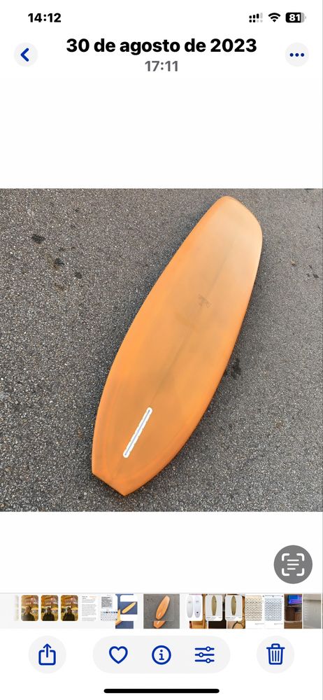Longboard 9’6 stepdeck Guru
