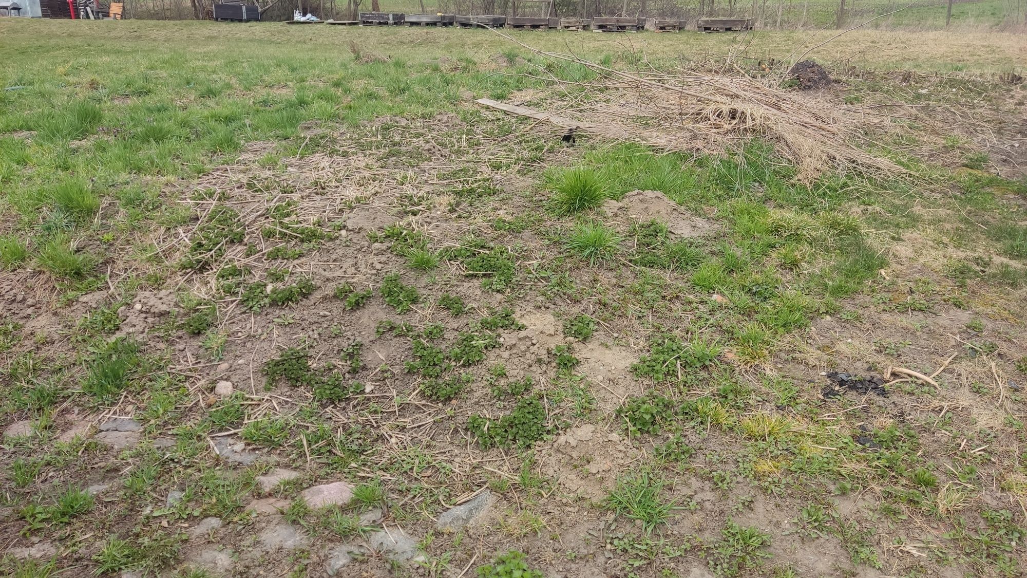 Oddam ziemię i gruz