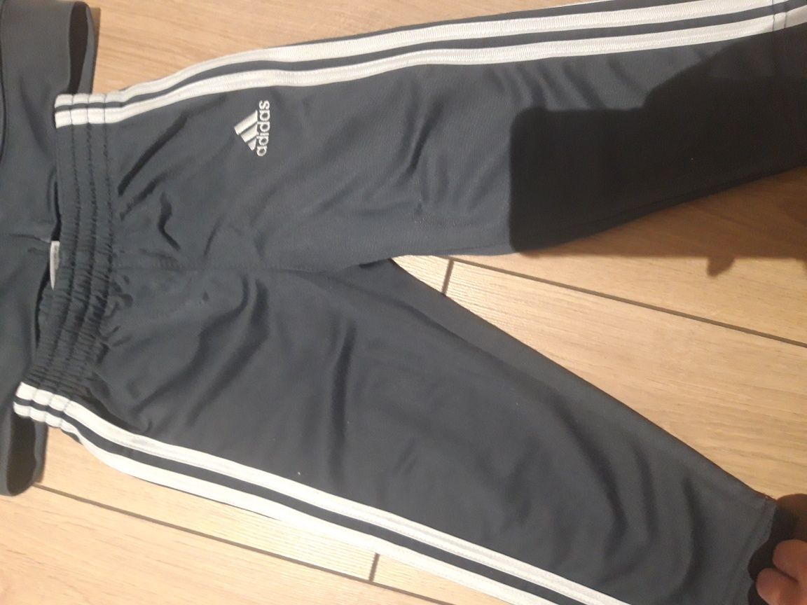 Komplet dres Adidas bluza spodnie 18 msc