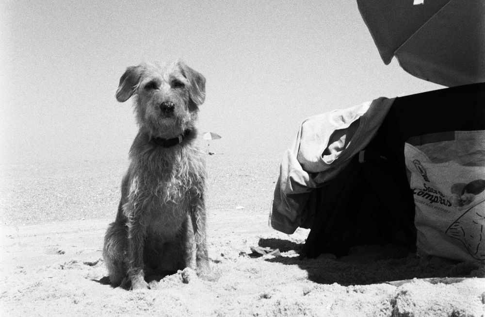 Kentmere PAN 400 36 exp 35mm