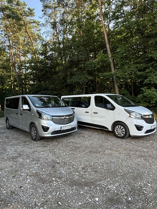 Wynajem bus 9-osobowy !!! Opel Vivaro B ! Krótko lub długoterminowy !