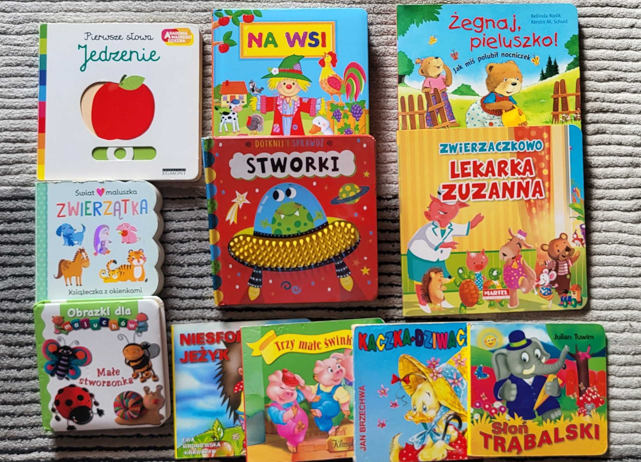 Książeczki edukacyjne dla malucha - zestaw 12 szt - otwierane okienka