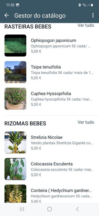 Plantas/Jardins/Utensílios
