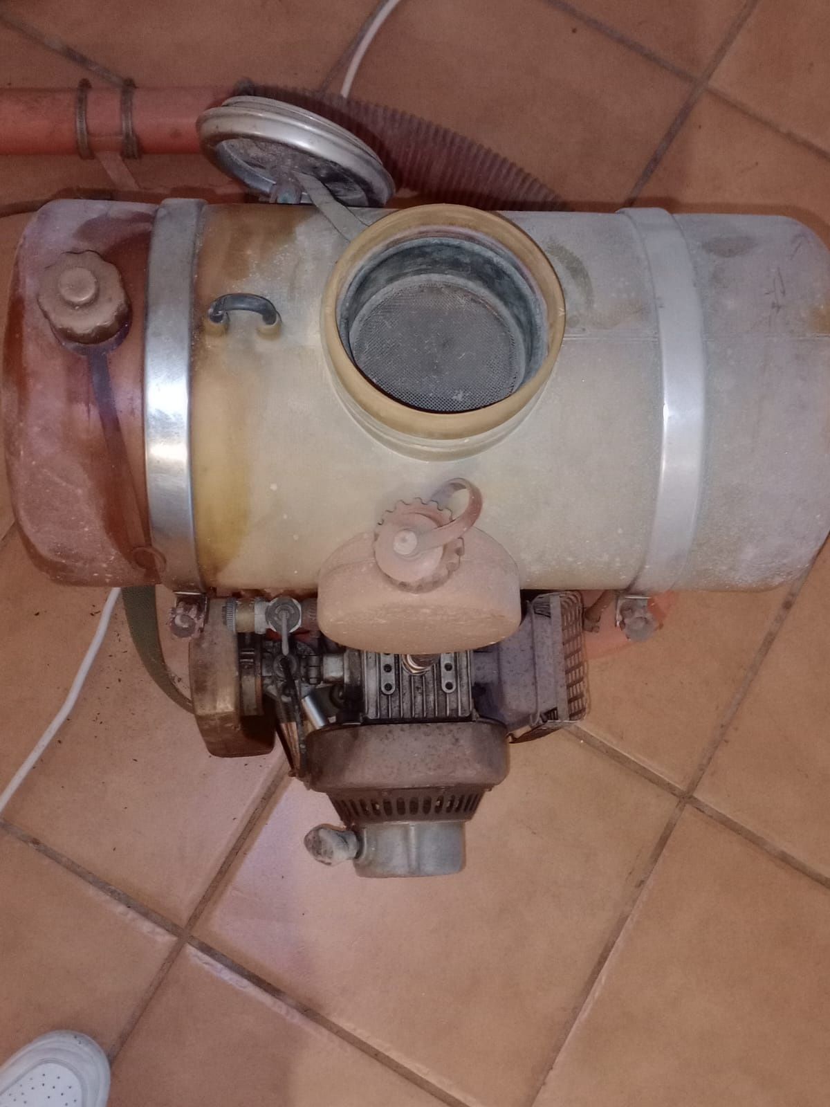 Motor de cura ( marca: casal )