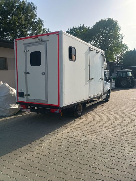 Koniowóz Mercedes sprinter v6 3.0 97 tys przebiegu ,