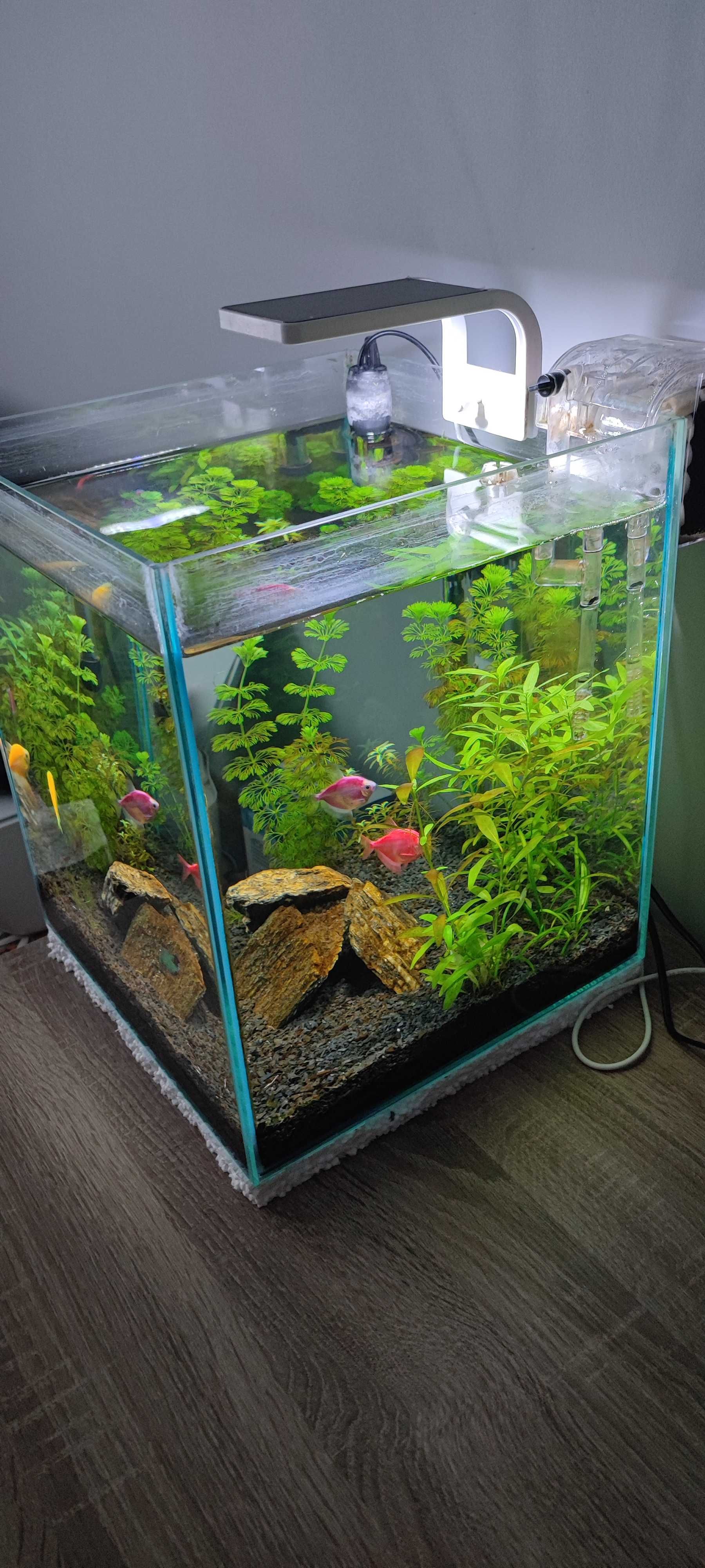 Akwarium kostka 30l