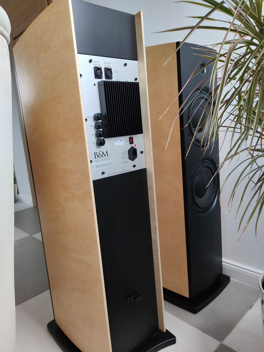 2012-13 kolumny aktywne Backes Mueller BM Prime 8
Loudspeaker System