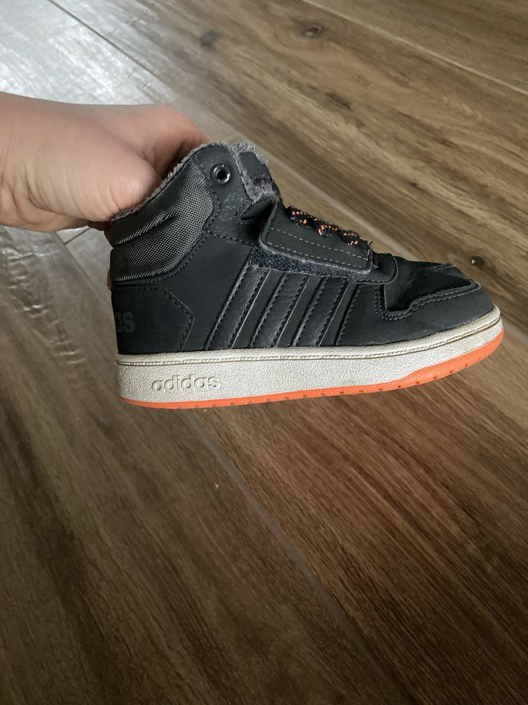 Adidas hoops mid 2.0 24